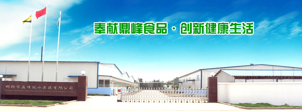 德版顎式破碎機